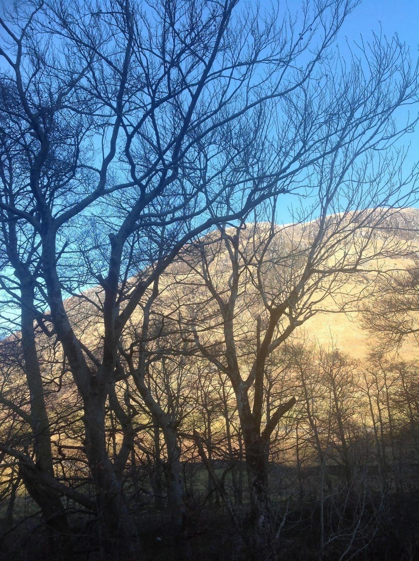 Cuil Na Sithe Bed & Breakfast Fort William Exterior photo